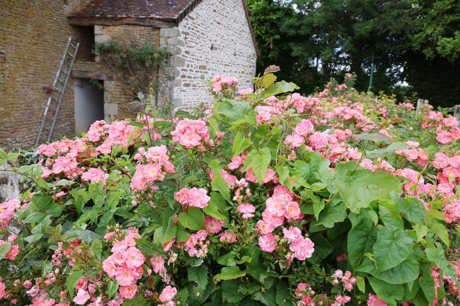 Chambre D'Hote Courtoux Saint-Denis-sur-Sarthon Zewnętrze zdjęcie